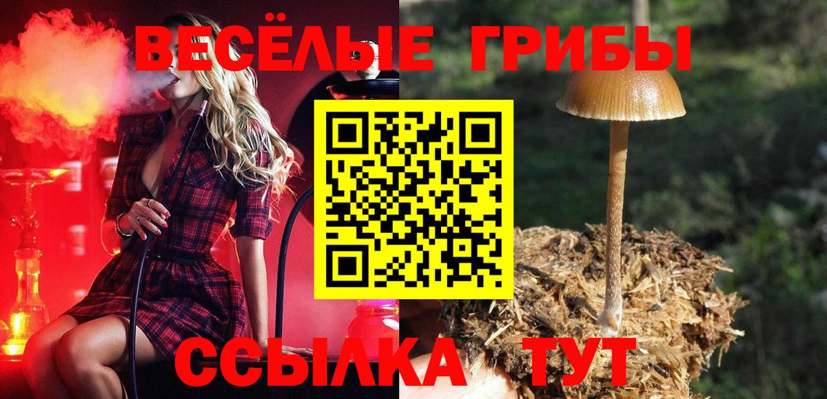 Галлюциногенные грибы мухоморы Екатеринбург