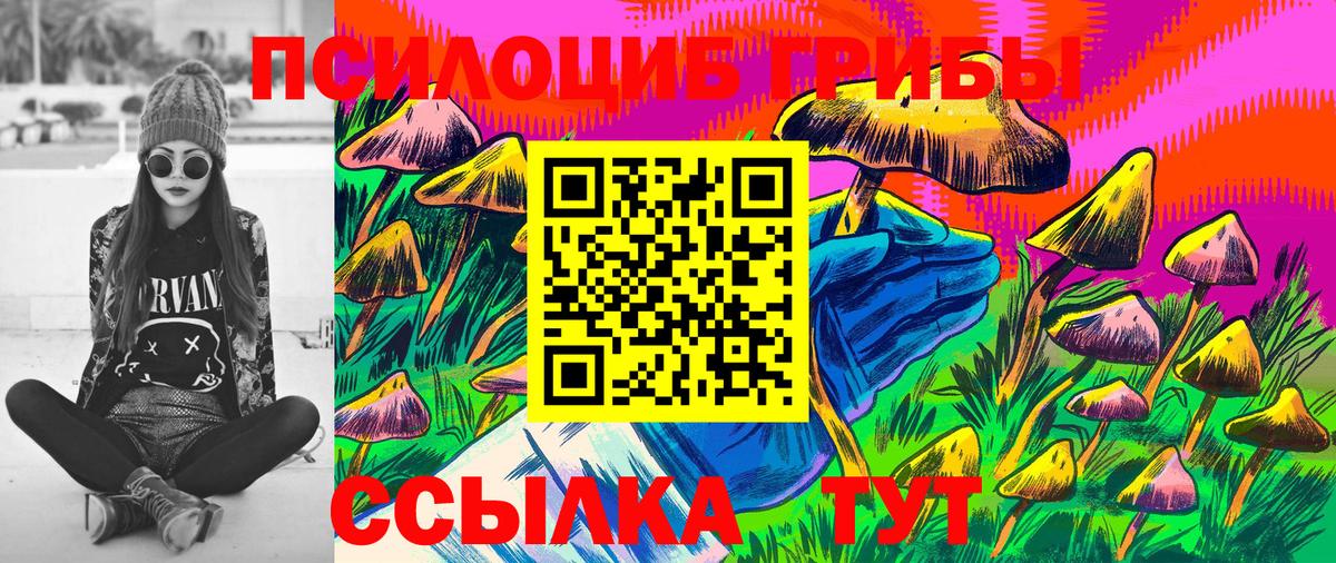 Псилоцибиновые грибы MAGIC MUSHROOMS  Вход с VPN  Екатеринбург 